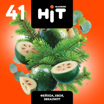 Табак для кальяна BlackBurn HIT 41 Feijoa Needls Eucalyptus (БлэкБерн / БлекБерн Хит 41 Фейхоа Хвоя Эвкалипт) 30г - фото 1 Табак для кальяна BlackBurn HIT 41 Feijoa Needls Eucalyptus (БлэкБерн / БлекБерн Хит 41 Фейхоа Хвоя Эвкалипт) 30г - фото 1